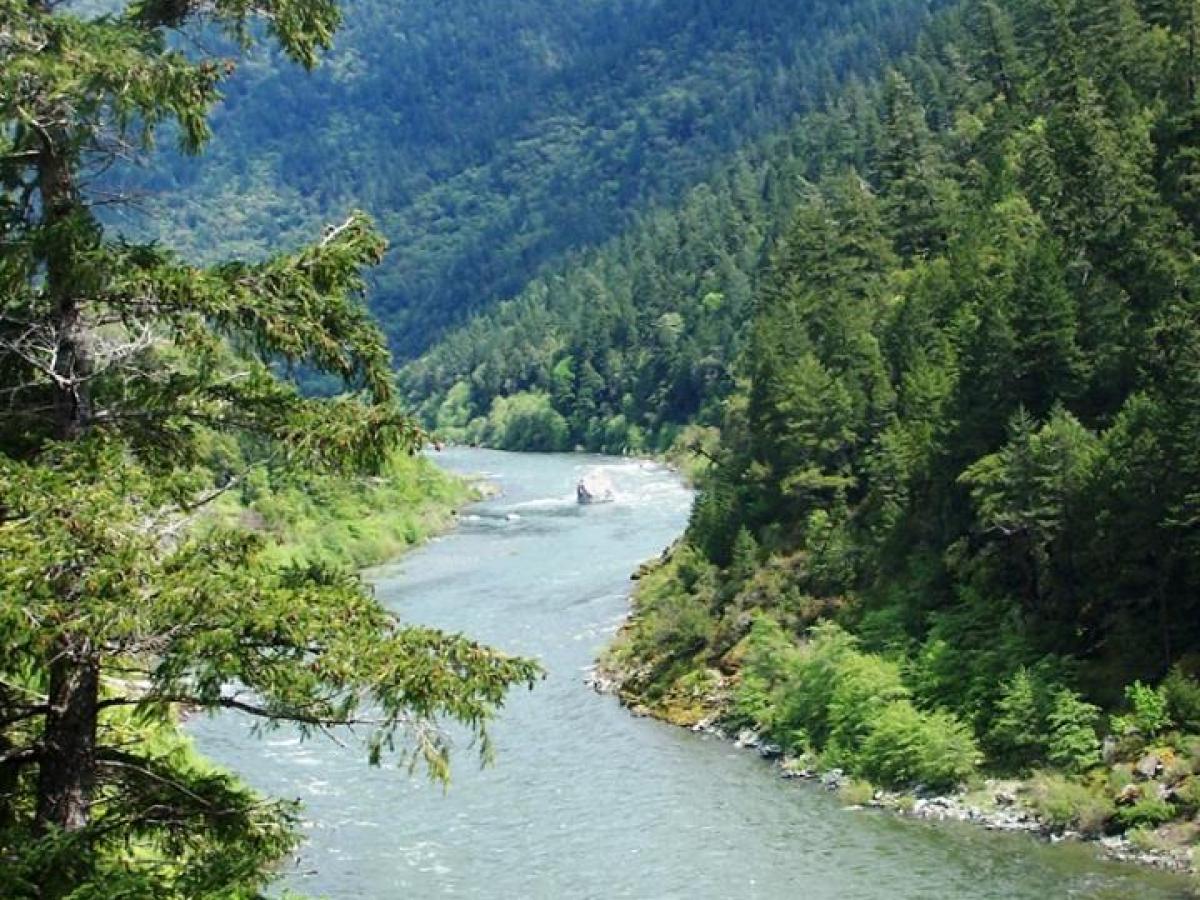 Scenery of the river and forest surround the river